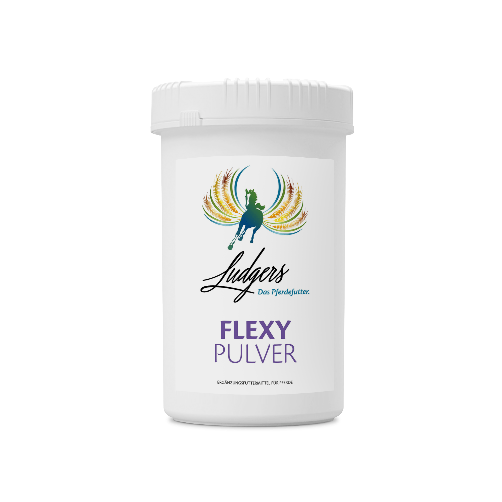 FLEXY | PULVER