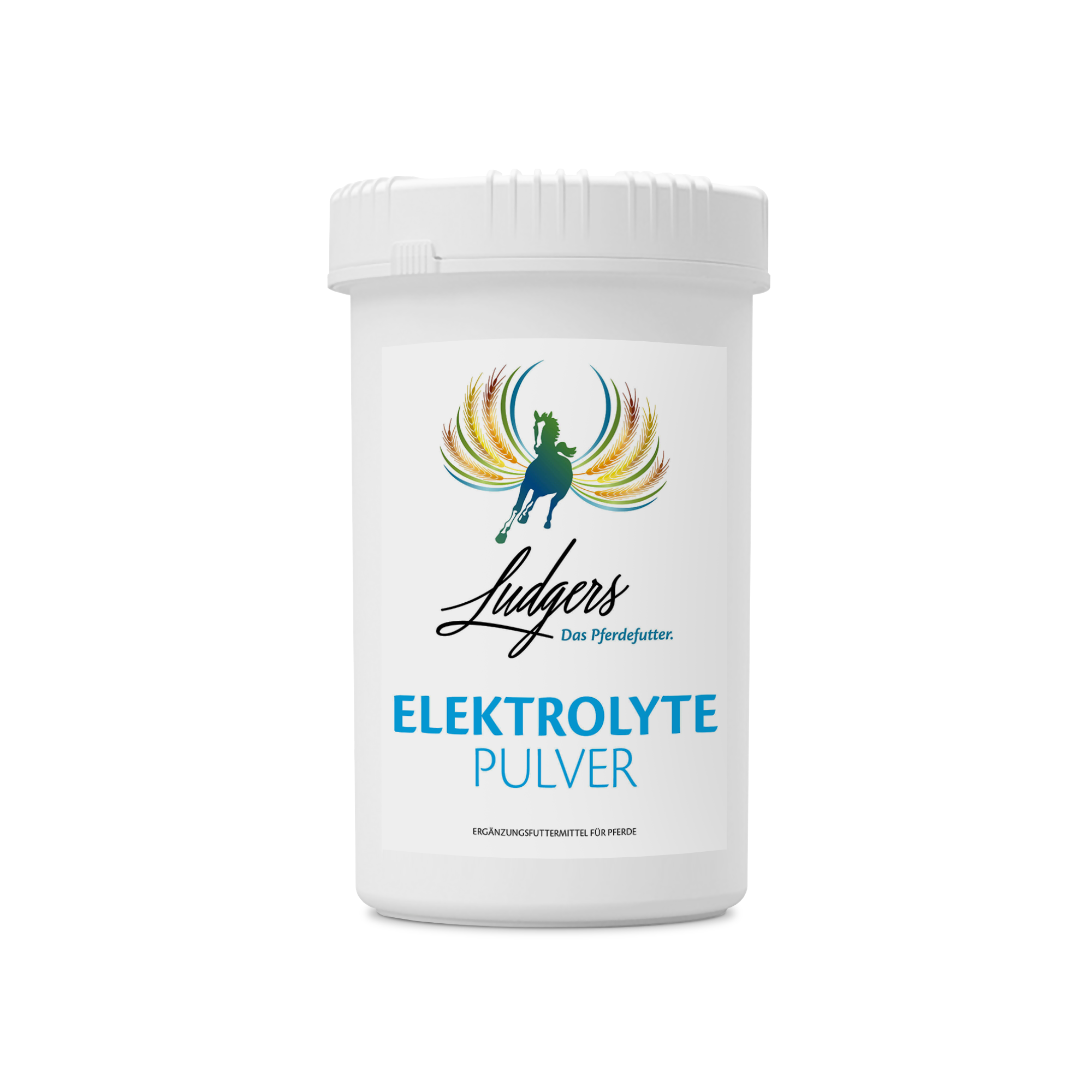 ELEKTROLYTE | PULVER