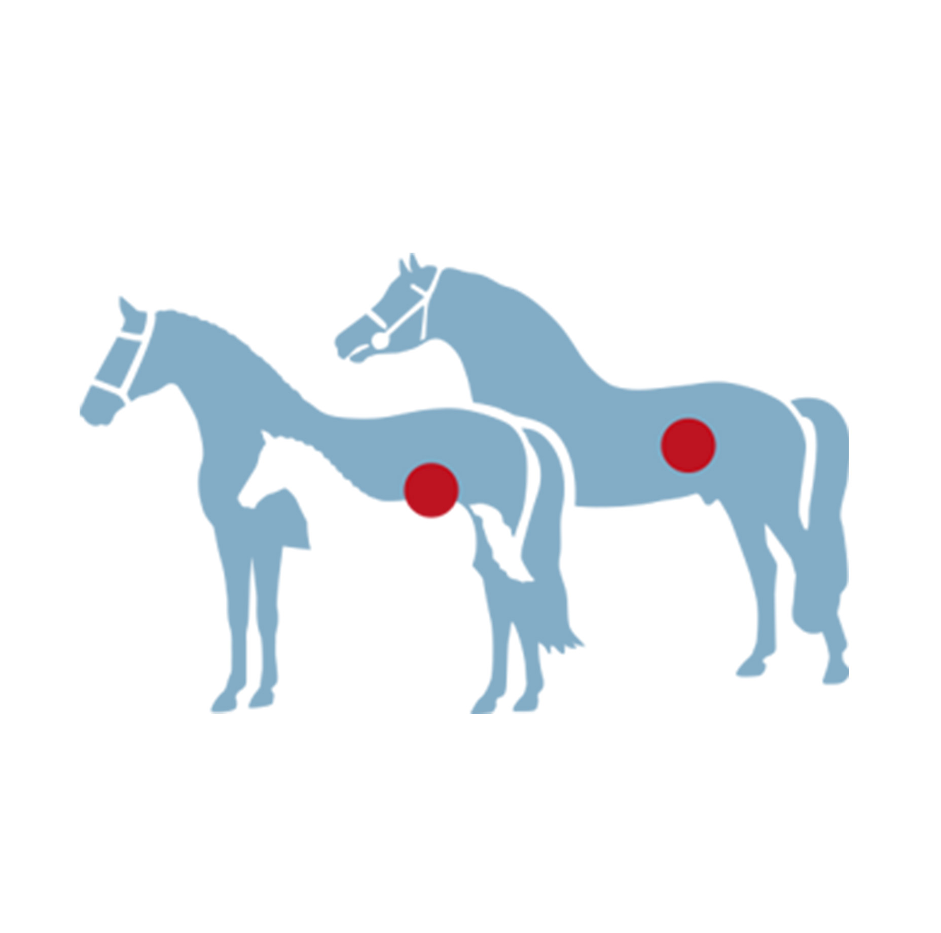 CAROTINKOMPLEX | PELLETS 